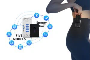 Màquina d'entrenament Ems Fitness